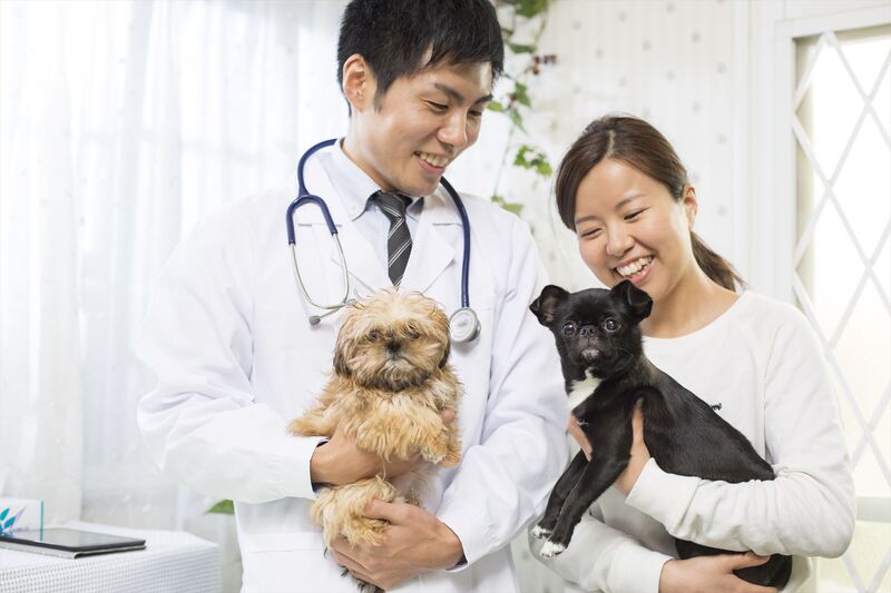 動物病院