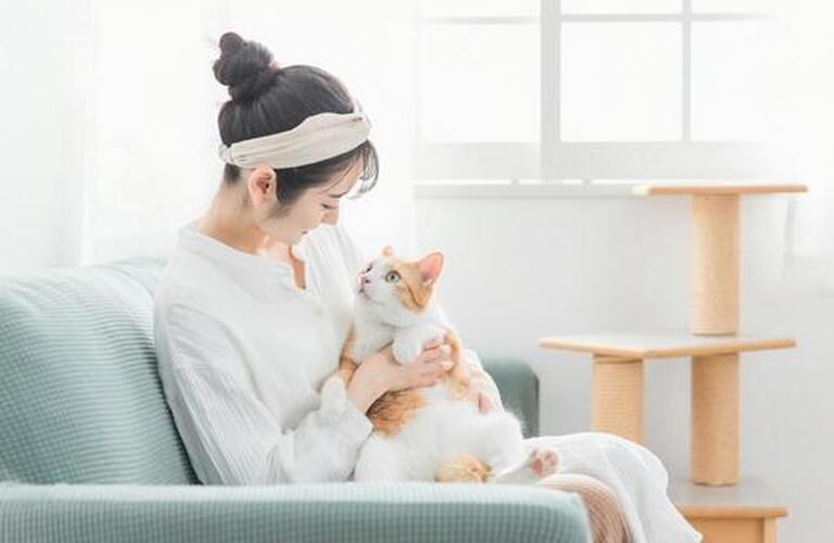 ねこちゃんの初めての避妊手術 | 近江八幡市で動物病院なら健やかな生活を支えるヴィオラ動物病院