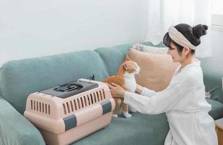 ねこちゃんの呼吸器専門医がいる病院 | 近江八幡市で動物病院なら健やかな生活を支えるヴィオラ動物病院